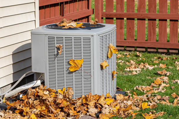 Best Best HVAC Companies  in Willow, AK
